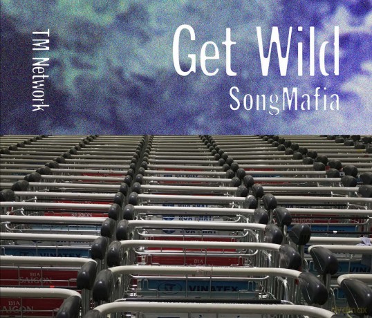 Tm Network: Tm Network Get Wild 30 Shuunen Compi [4CD]
