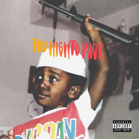 Bas: Too High To Riot [CD]