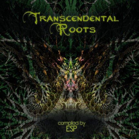 Transcendental Roots [CD]