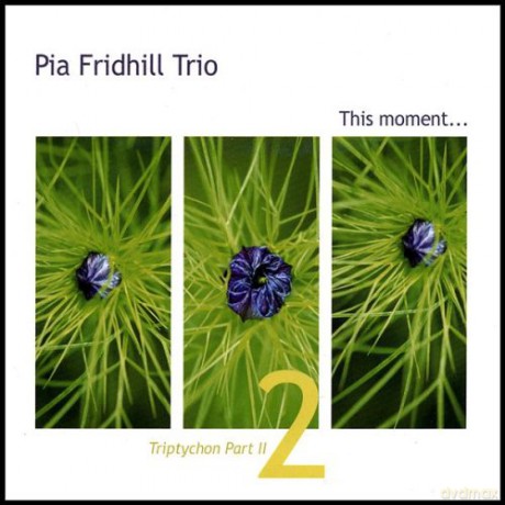 Pia Trio Fridhill: Triptychon Pt. 2-This Moment [CD]
