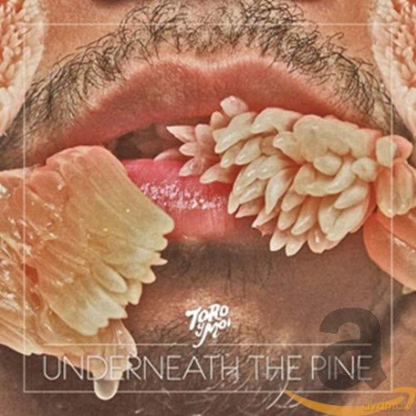 Toro Y Moi: Underneath The Pine [CD]