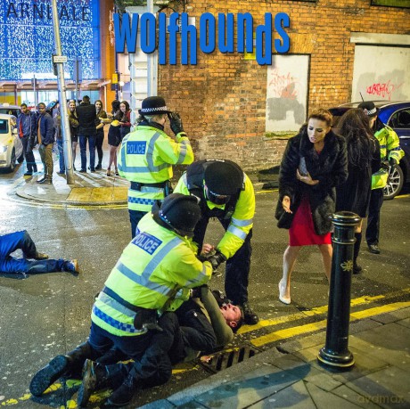 The Wolfhounds: Untied Kingdom (Or How To Come [CD]