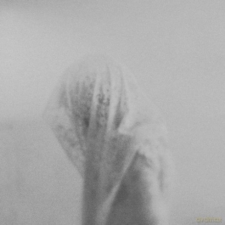 Rorcal: Vilagvege [CD]