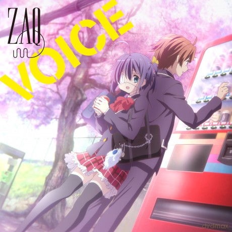 Zaq: Voice [CD]