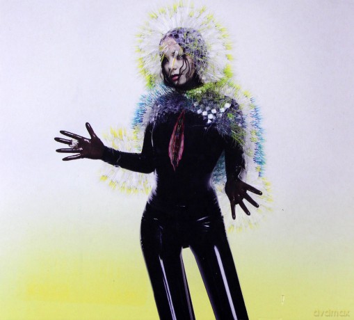 Bjork: Vulnicura [CD]