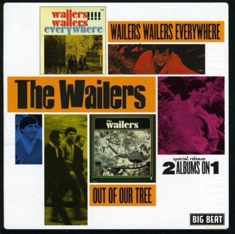 Wailers: Wailers Wailers Everywhere/out of Our Tree [CD]