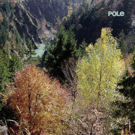 Pole: Wald [CD]