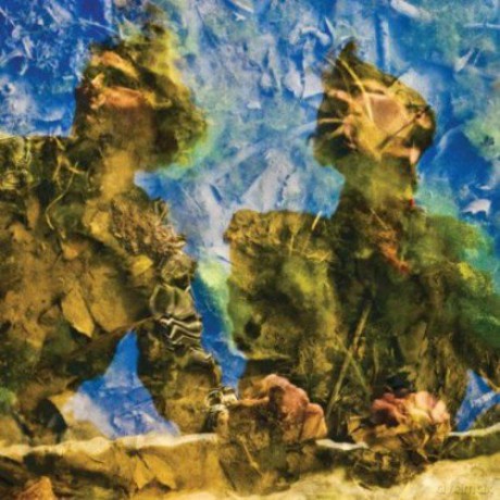 The Horse's Ha: Waterdrawn [CD]
