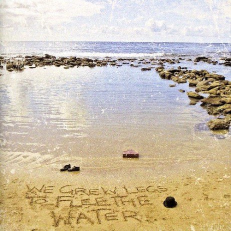 Furcurve: We Grew Legs To Flee The Water [CD]