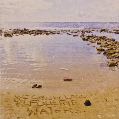 Furcurve: We Grew Legs To Flee The Water [CD]
