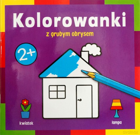 W Domu [KSIĄŻKA]