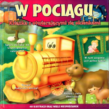 W Pociągu [KSIĄŻKA]
