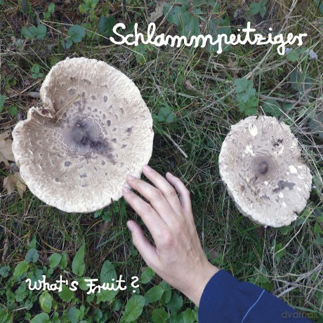 Schlammpeitziger: Whats Fruit [CD]