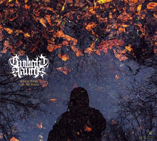 Twilight Fauna: Where Birds Call My Name [CD]