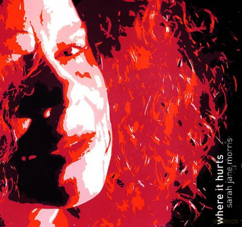Sarah Jane Morris: Where It Hurts [CD]