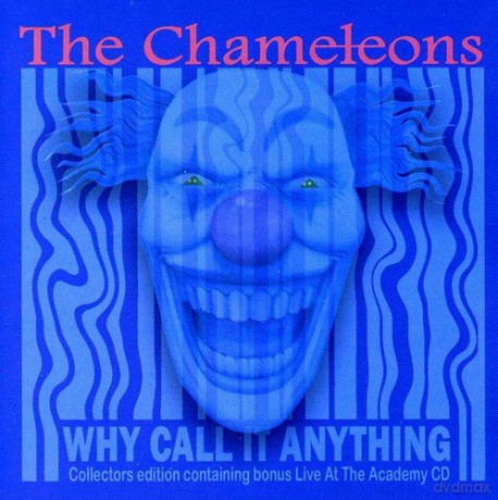 Chameleons: Why Call It Anything [2CD]