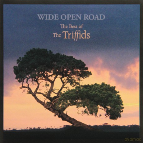 Triffids: Wide Open Road: Best of the Tr [CD]