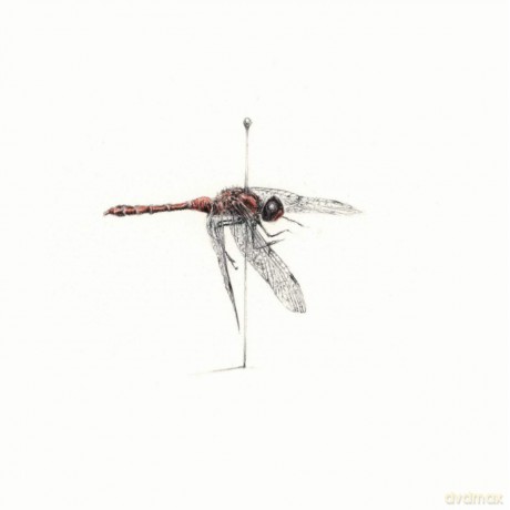 Warm Widow: Widower [CD]
