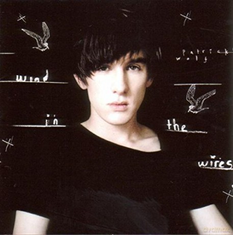 Patrick Wolf: Wind In The Wires [CD]