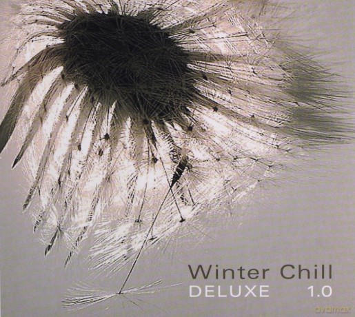 Winter Chill Deluxe 1.0 [CD]