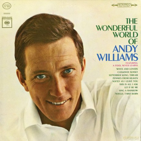Andy Williams: Wonderful World of Andy Williams [CD]