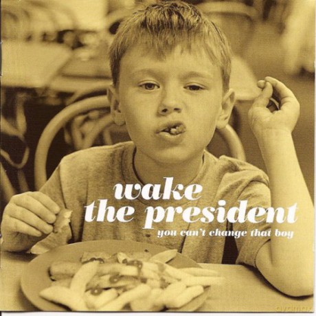 Wake the President: You Can't Change That Boy [CD]