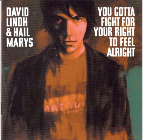 David Lindh: You Got To Fight For Your Righ [CD]