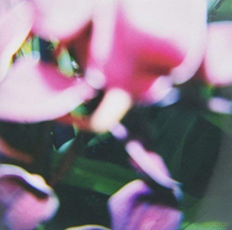 Trade Wind: You Make Everything Disappear [CD]