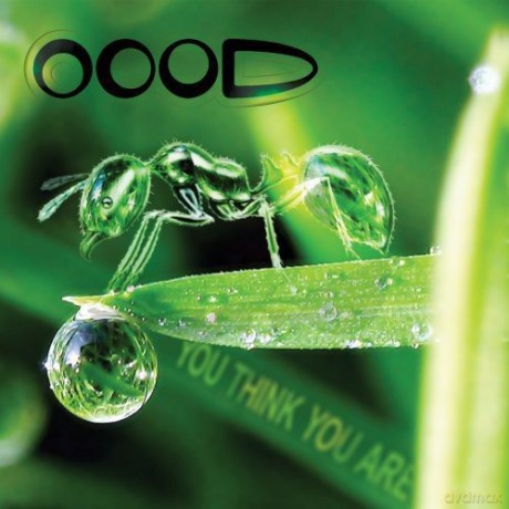 Oood: You Think You Are [CD]