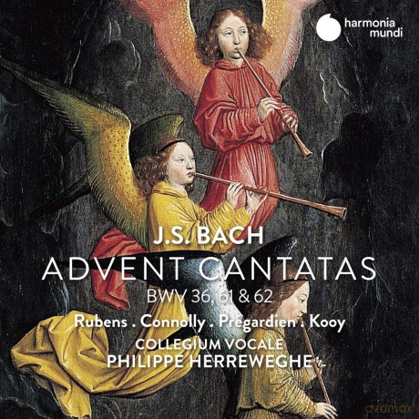 Bach: Advent Cantatas Rubens Connolly [CD]