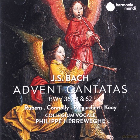 Bach: Advent Cantatas Rubens Connolly [CD]