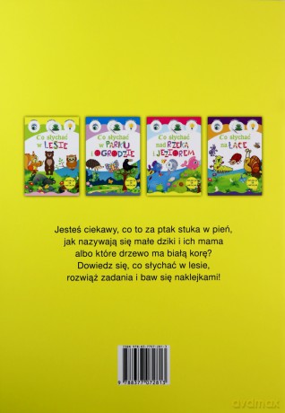 Kolekcja 50 naklejek. Co słychać w lesie [KSIĄŻKA]