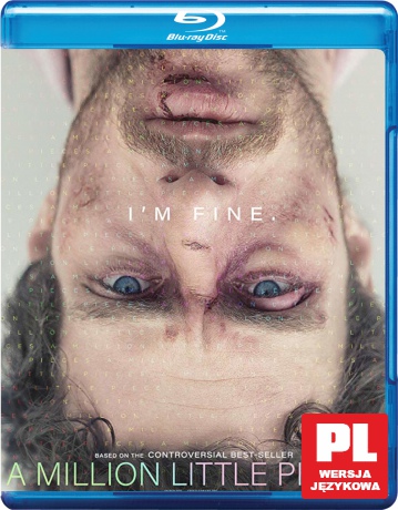 A Million Little Pieces [Blu-Ray]