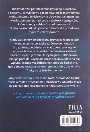 Sztorm i furia - Jennifer L. Armentrout [KSIĄŻKA]
