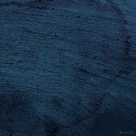 Multicast Dynamics: Aquatic System [2xWinyl]