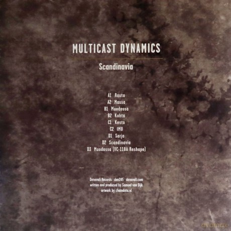 Multicast Dynamics: Aquatic System [2xWinyl]