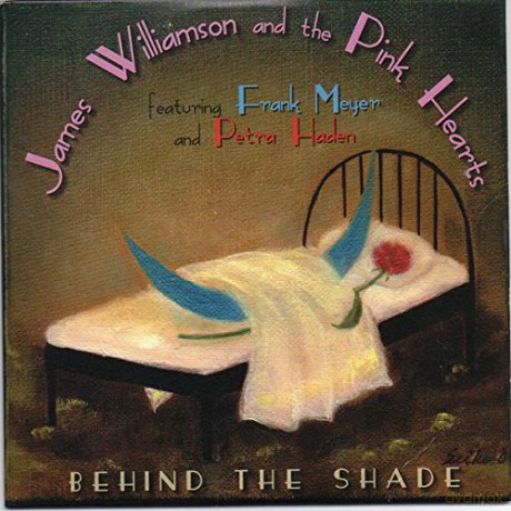 James Williamson: Behind The Shade [Winyl]