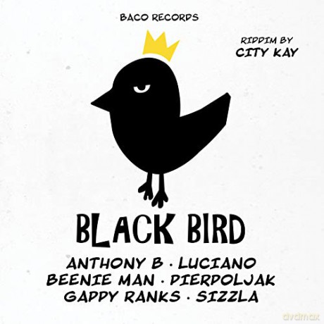 Black Bird Riddim By [Winyl]