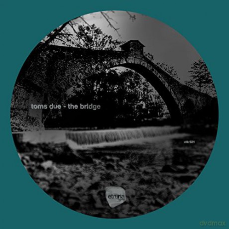 Toms Due: Bridge [Winyl]