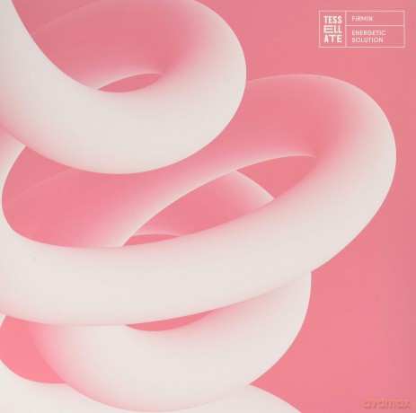 Firmin: Energetic Solution [Winyl]