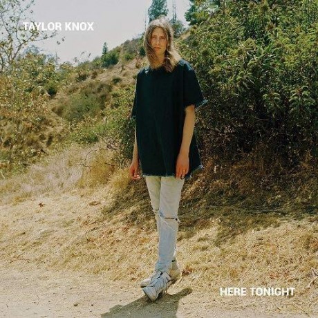 Taylor Knox: Here Tonight [Winyl]