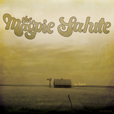 The Magpie Salute: In Here [Winyl]