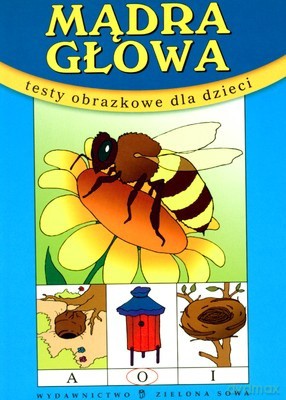 Mądra Głowa: Testy Obrazkowe: (Niebieska) - Małgorzata Czyżowska [KSIĄŻKA]