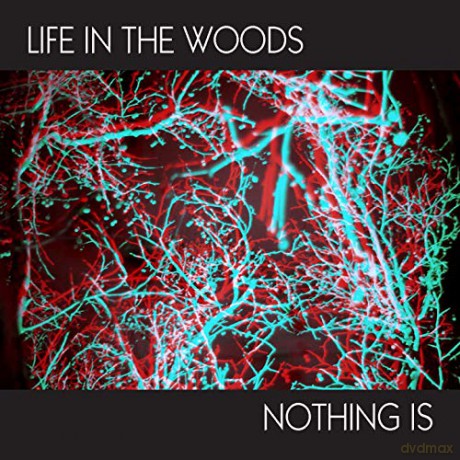 Life In The Woods: Nothing Is [Winyl]