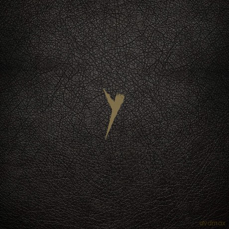 Pop Group - Y (Definitive) [Winyl]
