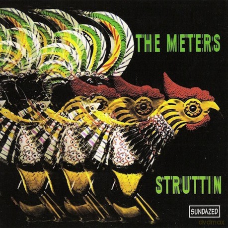 Meters: Struttin [Winyl]
