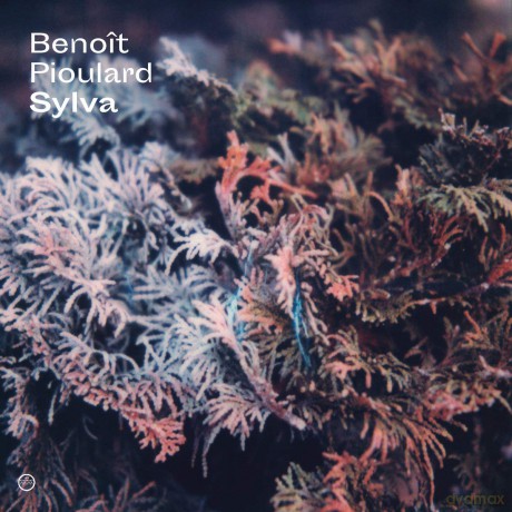Benoit Pioulard: Sylva [Winyl]