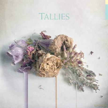Tallies: Tallies [Winyl]