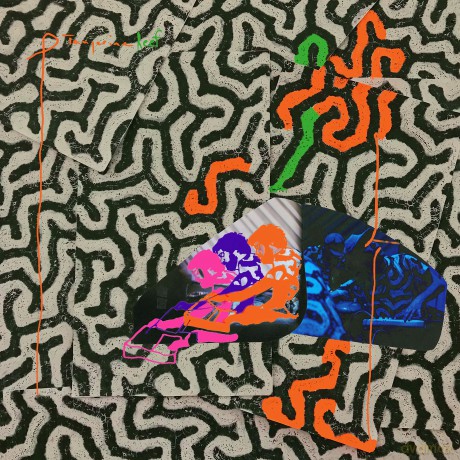Animal Collective: Tangerine Reef [Winyl]