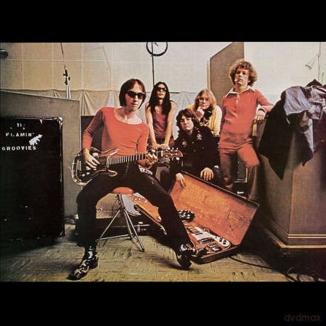Flamin' Groovies: Teenage Head [Winyl]